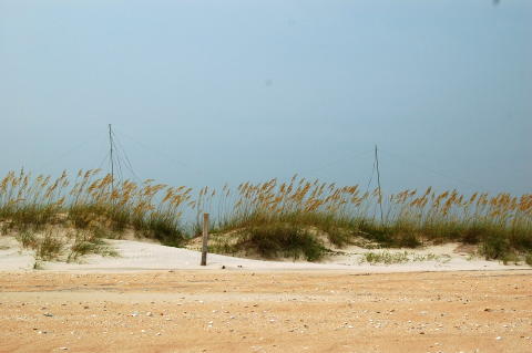 Beach view