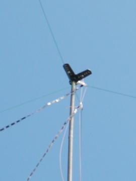 Dangly Device