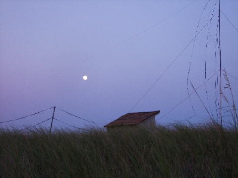 Moonrise